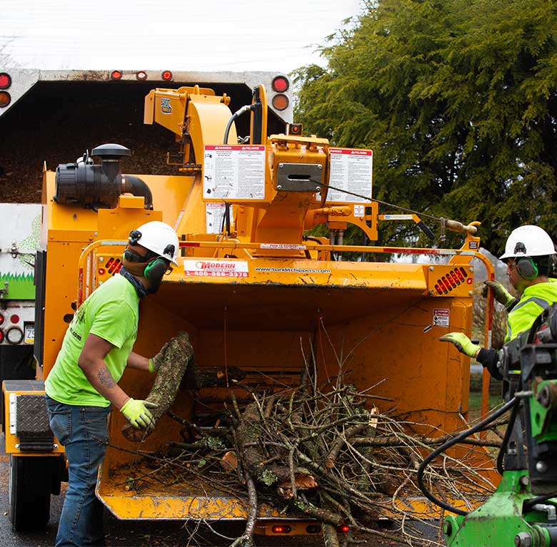 Why choose Tree Cutter